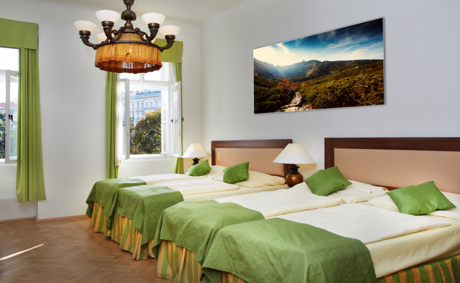 Wenceslas Square Hotel