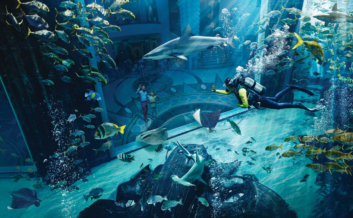 Atlantis The Palm