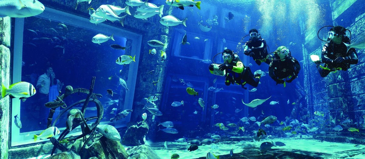 Atlantis The Palm