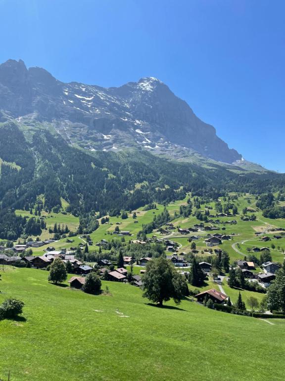Jungfrau Lodge Swiss Mountain Hotel
