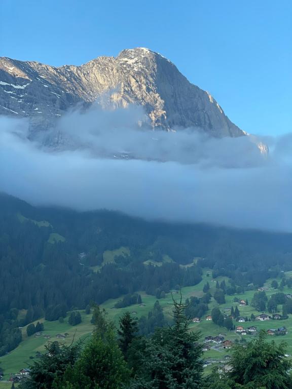Jungfrau Lodge Swiss Mountain Hotel