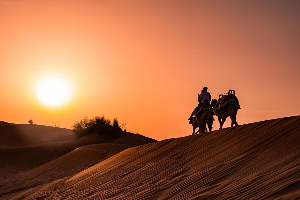 두바이 사막 사파리